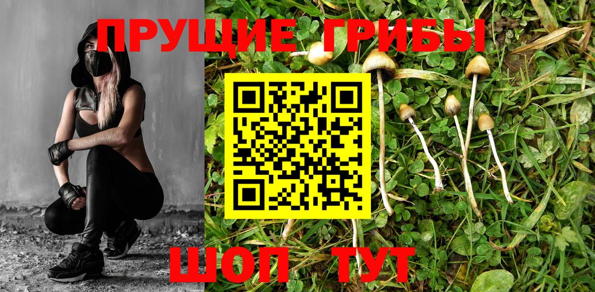 Галлюциногенные грибы Magic Shrooms Азнакаево