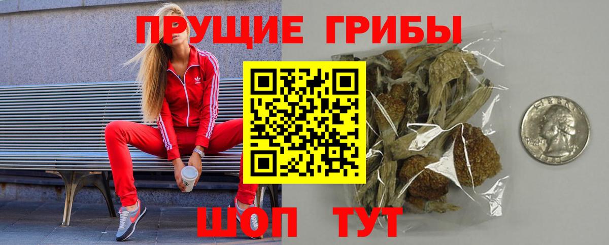 Азнакаево  Псилоцибиновые грибы прущие грибы  Вход с VPN 